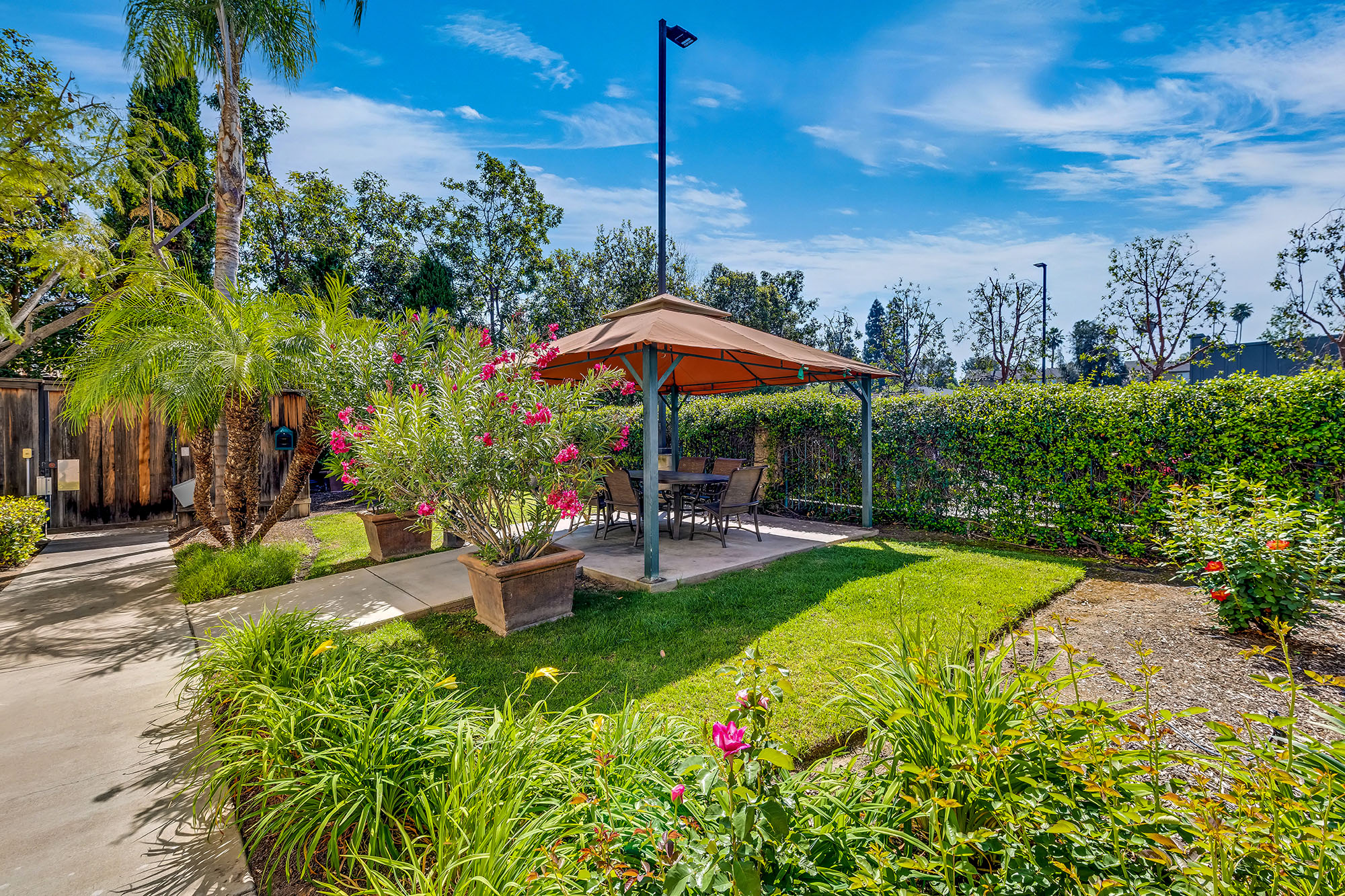 Outdoor Area